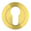 euro-profile-escutcheon-pvd-satin-brass