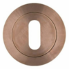 standard-profile-escutcheon-pvd-satin-bronze