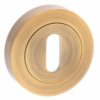 senza-pari-key-hole-escutcheon-round-rose-weathered-antique-bronze10