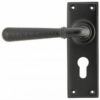 anvil-hammered-newbury-euro-profile-lever-furniture-polished-nickel-46220